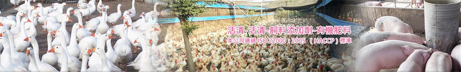 圖一